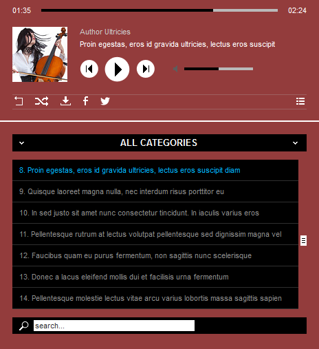 HTML5 AudioPlayer PRO - Color Scheme 1<