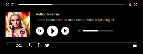 HTML5 AudioPlayer PRO - With Hidden Playlist Model 1