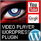 Video Player Wordpress Plugin - YouTube/FLV/H264